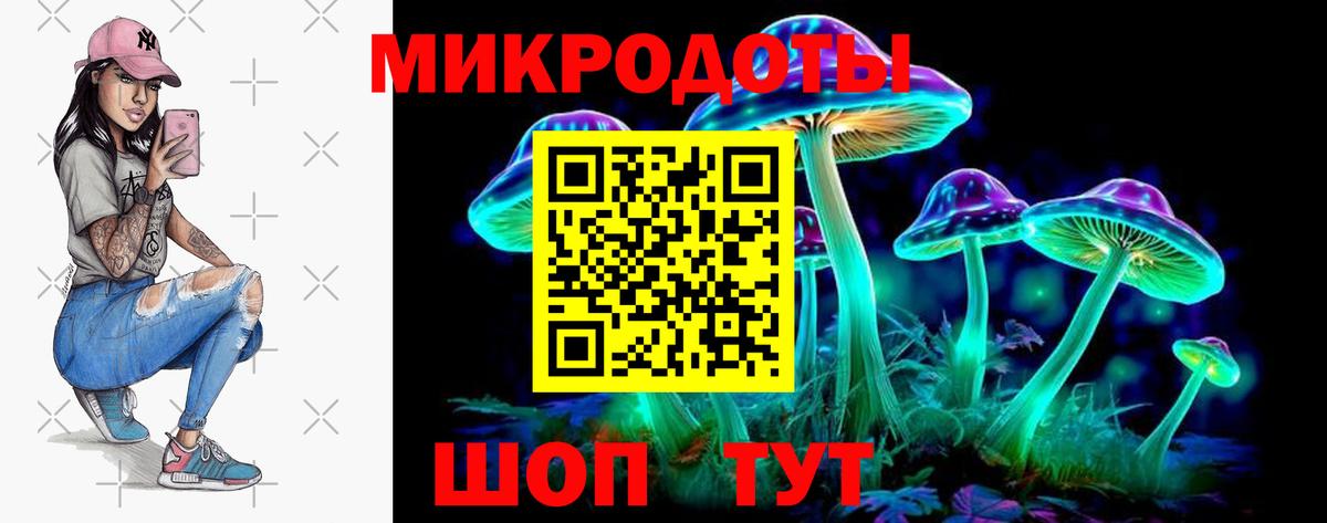 Лабинск  Галлюциногенные грибы Cubensis  Вход с VPN 